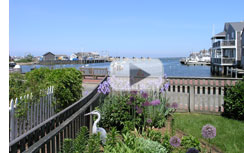 Killen Real Estate - Nantucket Harbor Camera